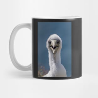 Juvenile Masked Booby, Norfolk Island Mug